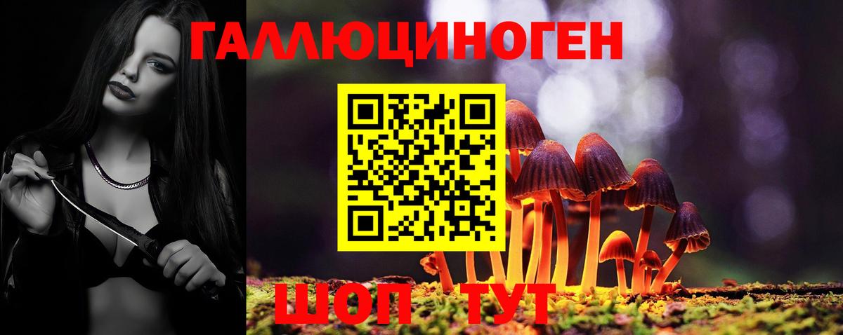 Первоуральск  Псилоцибиновые грибы Psilocybine cubensis  Вход с VPN  Галлюциногенные грибы прущие грибы 